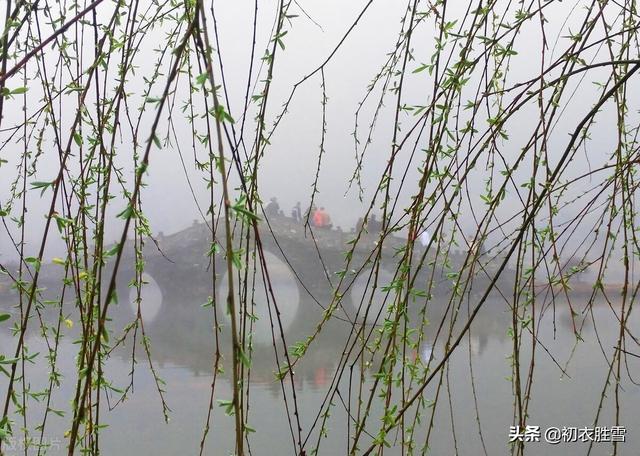 春夜喜雨的经典古诗词（早春春雨春水古诗四首）(1)