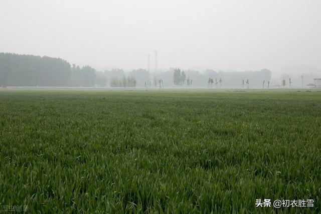 春夜喜雨的经典古诗词（早春春雨春水古诗四首）(5)