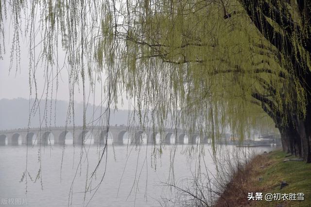 春夜喜雨的经典古诗词（早春春雨春水古诗四首）(2)