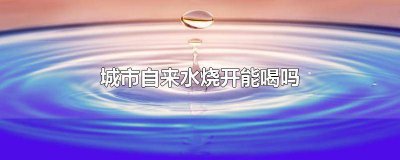 ​城市的自来水烧开水可以长期喝吗 城市的水能烧开喝吗