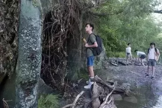 有哪些好看恐怖的电影推荐（盘点10部最好看的恐怖电影）