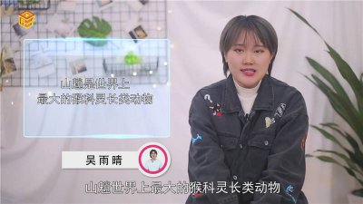 ​嵖岈山有什么动物 山魈是哪个国家的动物