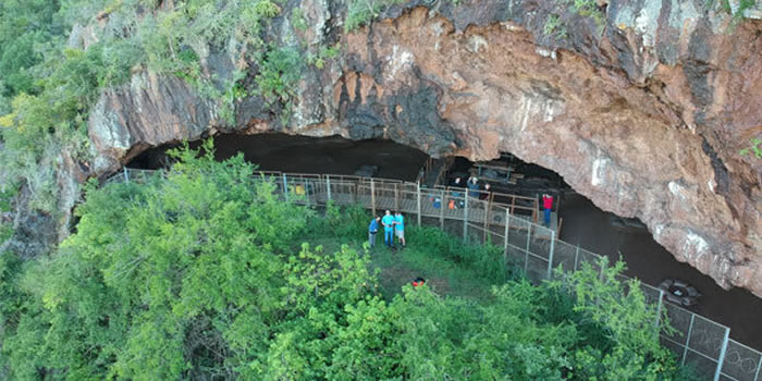 南非距今20万年前的古人类洞穴中发现最早的“床”