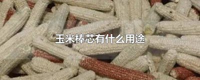 ​玉米棒芯有什么用途 玉米棒芯有什么用途玉米芯可以煲汤吗