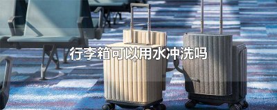 ​行李箱可以直接用水冲吗 行李箱可以把里面洗一洗吗