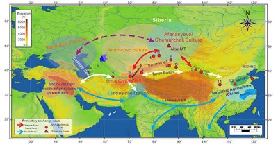 ​早期文明交流的草原之路新证据：新疆北部阿尔泰地区通天洞遗址5200年前的小麦