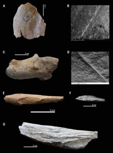 ​阿尔及利亚峡谷发现的240万年前石器说明古人类踏足北非早于预期