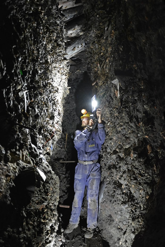 铁器时代排泄物研究表明：2700年前人类就开始食用蓝纹奶酪和啤酒