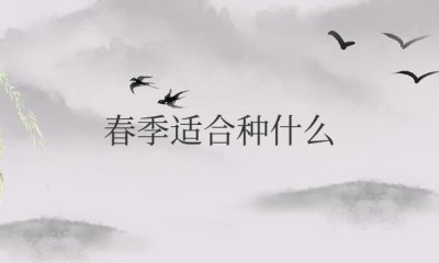 ​春季适合种什么蔬菜种子