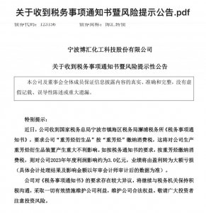 ​宁波一化工企业因缴税问题停产，税务部门回应