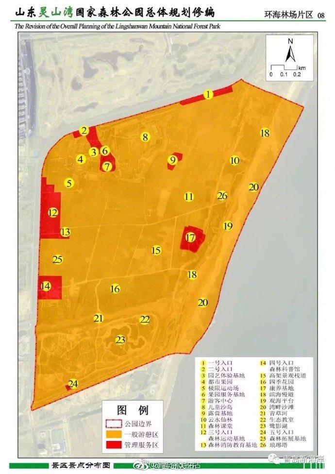 亚洲最大世界第三！西海岸再添一个国家森林公园