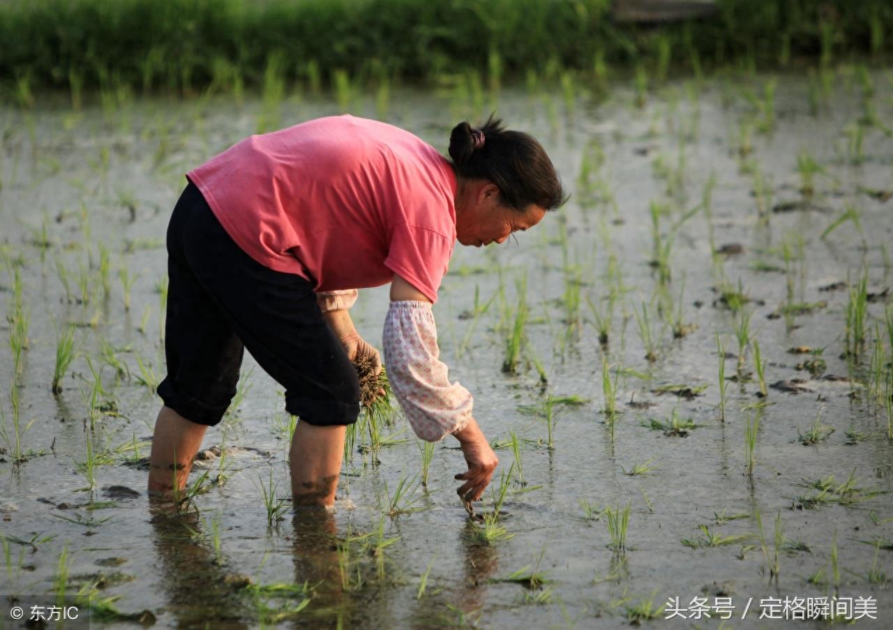 7个母亲背影感人瞬间 哪张勾起了您的回忆 哪一张又感动了您