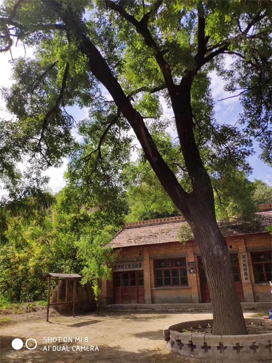 走进电视剧《岁岁年年柿柿红》拍摄地——宜山村