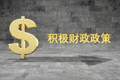 ​什么是财政政策？