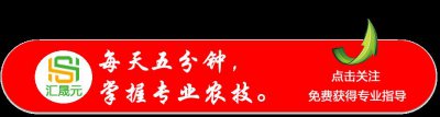 ​葡萄扦插育苗详解，八大步骤让你轻松学会