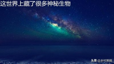 ​柬埔寨女皇水蛭真的存在吗？吸血鱼又是怎么回事？两种吸血的怪物