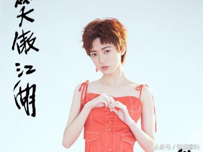 ​姜卓君个人资料简介，《新版笑傲江湖》仪琳的扮演者，演技如何？